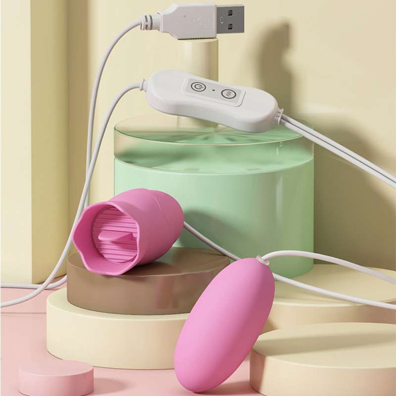 USB 2 in 1 vibrating egg and vibration Clit massage