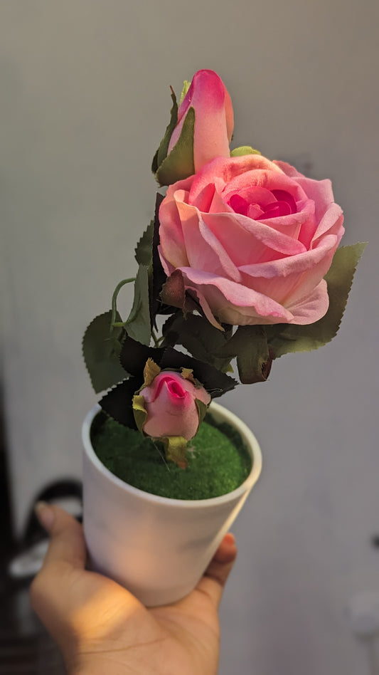 Pink Budding rose with vase