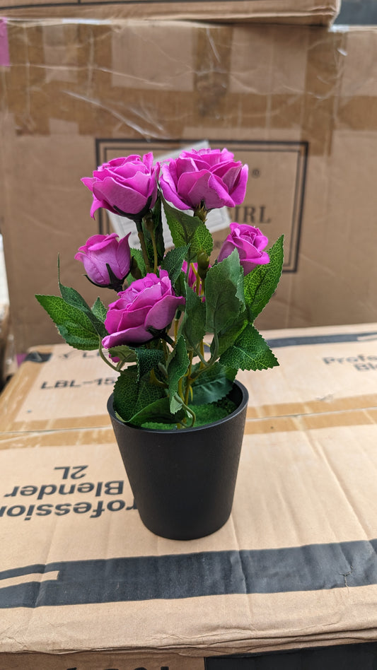 Purple Roses with black vase