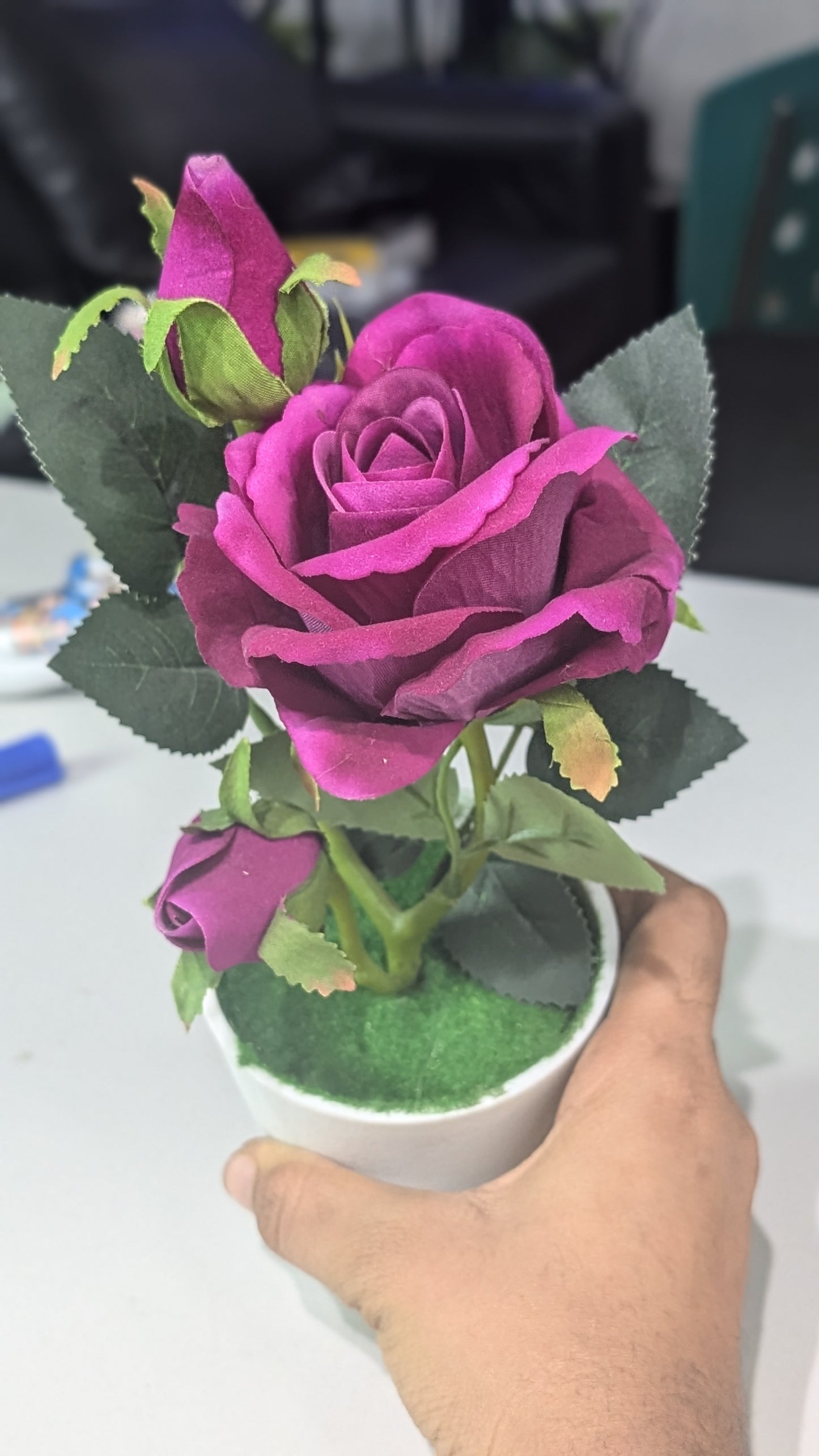 Purple rose with vase