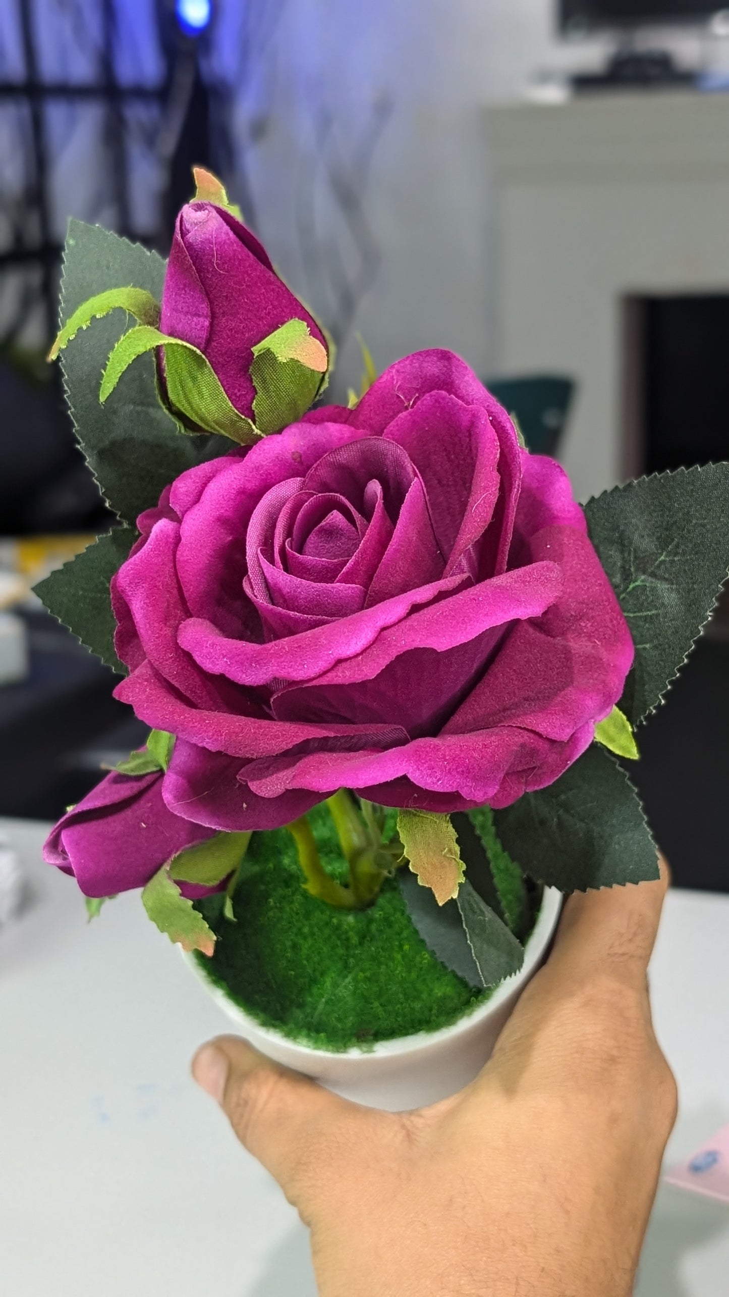 Purple rose with vase