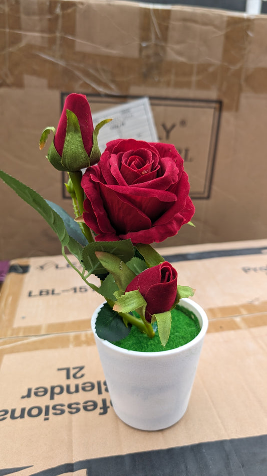 Enternal rose with white vase